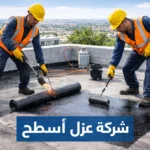 شركه عزل اسطح